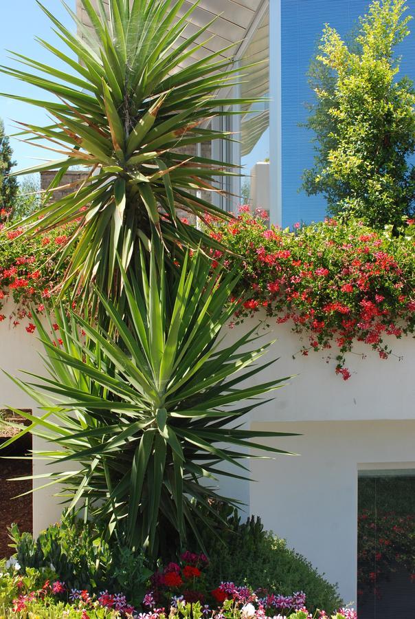Hotel Torre Santamaria Resort Mattinata Esterno foto
